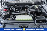 2024 Ford F-150 SuperCrew Cab 4WD Pickup for sale #WB41501A - photo 22