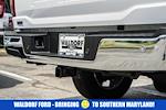 2024 Ford F-150 SuperCrew Cab 4WD Pickup for sale #WB41501A - photo 3