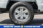 2023 Ford F-150 SuperCrew Cab 4WD Pickup for sale #FB34509 - photo 19
