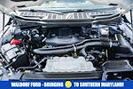2023 Ford F-150 SuperCrew Cab 4WD Pickup for sale #FB34509 - photo 21