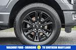 2024 Ford F-150 SuperCrew Cab 4WD Pickup for sale #FB34653 - photo 20