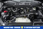 2023 Ford F-150 SuperCrew Cab 4WD Pickup for sale #FB34654 - photo 24