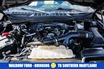 2023 Ford F-150 SuperCrew Cab 4WD Pickup for sale #FB34708 - photo 22