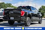 2023 Ford F-150 SuperCrew Cab 4WD Pickup for sale #FB34708 - photo 2