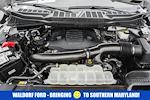 2023 Ford F-150 SuperCrew Cab 4WD Pickup for sale #FB34716 - photo 22