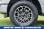 2023 Ford F-150 SuperCrew Cab 4WD Pickup for sale #FB34733 - photo 17