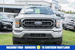 2023 Ford F-150 SuperCrew Cab 4WD Pickup for sale #FB34733 - photo 1