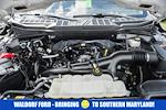 2023 Ford F-150 SuperCrew Cab 4WD Pickup for sale #FB34733 - photo 19