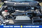 Used 2023 Ford F-150 SuperCrew Cab for sale #FB34872 - photo 23