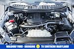 2023 Ford F-150 SuperCrew Cab 4WD Pickup for sale #FB34949 - photo 18