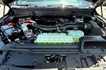 New 2025 Ford F-150 Platinum SuperCrew Cab for sale #UR0721 - photo 10