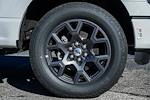 New 2026 Ford F-150 STX SuperCrew Cab for sale #WA10441 - photo 17
