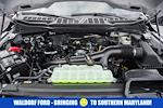 New 2025 Ford F-150 STX SuperCrew Cab 4WD Pickup for sale #WA37900 - photo 20
