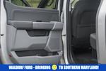 New 2025 Ford F-150 XLT SuperCrew Cab 4WD Pickup for sale #WA66598 - photo 42