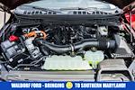 2025 Ford F-150 SuperCrew Cab 4WD Pickup for sale #WB11509 - photo 22
