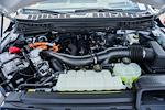 New 2025 Ford F-150 King Ranch SuperCrew Cab 4WD Pickup for sale #WB37306 - photo 32