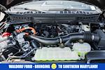 New 2025 Ford F-150 King Ranch SuperCrew Cab 4WD Pickup for sale #WB37410 - photo 22