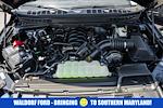 New 2025 Ford F-150 Tremor SuperCrew Cab 4WD Pickup for sale #WB49426 - photo 21