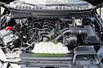 New 2025 Ford F-150 Tremor SuperCrew Cab 4WD Pickup for sale #WB57752 - photo 17
