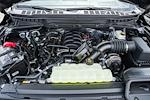 New 2025 Ford F-150 Tremor SuperCrew Cab 4WD Pickup for sale #WB60884 - photo 22