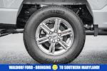 2024 Ford F-150 SuperCrew Cab 4WD Pickup for sale #WB88760 - photo 19