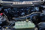 New 2025 Ford F-150 XLT SuperCrew Cab 4WD Pickup for sale #WC10283 - photo 21