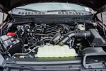 New 2025 Ford F-150 STX SuperCrew Cab for sale #WC31261 - photo 32