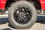 New 2025 Ford F-150 XLT SuperCrew Cab for sale #WC74833 - photo 19