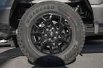 New 2026 Ford F-150 STX SuperCrew Cab for sale #WD13046 - photo 17