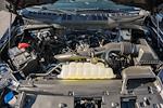 New 2026 Ford F-150 STX SuperCrew Cab for sale #WD13046 - photo 19