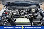 2025 Ford F-150 SuperCrew Cab 4WD Pickup for sale #WD23992 - photo 22