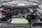 New 2026 Ford F-150 STX SuperCrew Cab for sale #WD32286 - photo 17