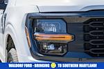 New 2025 Ford F-150 STX SuperCrew Cab 4WD Pickup for sale #WD66110 - photo 10