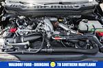 New 2025 Ford F-350 Platinum Crew Cab 4WD SRW Pickup for sale #WD91254 - photo 24