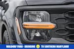 Used 2025 Ford F-150 XL Regular Cab for sale #WD96291A - photo 13