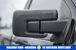 Used 2025 Ford F-150 XL Regular Cab for sale #WD96291A - photo 16