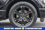 Used 2025 Ford F-150 XL Regular Cab for sale #WD96291A - photo 19