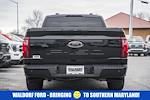 Used 2025 Ford F-150 XL Regular Cab for sale #WD96291A - photo 4