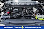 New 2025 Ford F-350 XLT Crew Cab 4WD DRW Pickup for sale #WD97084 - photo 20