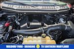 2018 Ford F-150 SuperCrew Cab 4WD Pickup for sale #WE37107A - photo 22