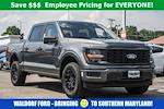 New 2025 Ford F-150 STX SuperCrew Cab 4WD Pickup for sale #WE68516 - photo 1