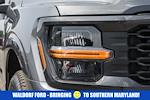 New 2025 Ford F-150 STX SuperCrew Cab 4WD Pickup for sale #WE68516 - photo 10