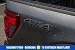 New 2025 Ford F-150 STX SuperCrew Cab 4WD Pickup for sale #WE68516 - photo 16