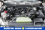 New 2025 Ford F-150 STX SuperCrew Cab 4WD Pickup for sale #WE68516 - photo 17
