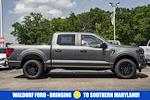 New 2025 Ford F-150 STX SuperCrew Cab 4WD Pickup for sale #WE68516 - photo 4