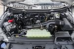 New 2025 Ford F-150 STX SuperCrew Cab 4WD Pickup for sale #WE86164 - photo 20