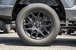 New 2025 Ford F-150 STX SuperCrew Cab 4WD Pickup for sale #WE92552 - photo 16