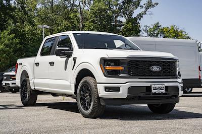 2025 Ford F-150 SuperCrew Cab 4WD Pickup for sale #WE92792 - photo 1