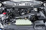 New 2025 Ford F-150 STX SuperCrew Cab 4WD Pickup for sale #WE99947 - photo 20