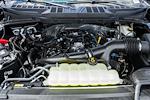 New 2025 Ford F-150 XLT SuperCrew Cab 4WD Pickup for sale #WF23719 - photo 19